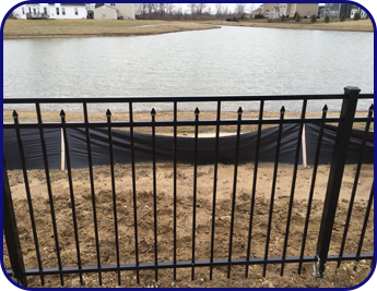 Black Fence